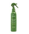 Produktbild 1 von 2, Aveda Be Curly Texturizing Spray
