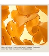 Image du produit 4 sur 6, Aveda Nutriplenish™ Sérum cheveux