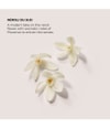 Image du produit 4 sur 4, LAURA MERCIER Bath & Body Eau de parfum