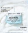 Productafbeelding 2 van 6, Peter Thomas Roth Water Drench Gezichtscrème