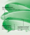 Produktbild 2 von 4, Peter Thomas Roth Cucumber Gesichtsmaske