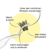 Produktbild 4 von 6, Ardell Winks Wimpern