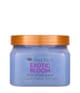 TREE HUT Exotic Bloom Kroppsskrubb 510 g 075371003547 base-shot_se