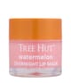 Productafbeelding 1 van 6, TREE HUT Watermelon Lipmasker