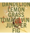 Produktbillede 3 af 5, SHAY & BLUE Dandelion Fig Eau de Parfum