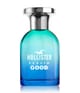 Produktbild 1 von 3, HOLLISTER Feelin' Good for Him Eau de Toilette