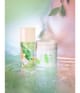 Elizabeth Arden Green Tea Bodylotion 500 ml 085805378363 visual-shot_de