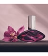 Produktbild 4 von 6, Calvin Klein Euphoria Eau de Parfum