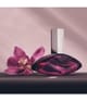 Produktbild 4 von 6, Calvin Klein Euphoria Eau de Parfum