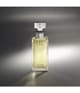 Calvin Klein Eternity Eau de Parfum 100 ml 088300601400 visual-shot_se