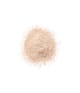 Productafbeelding 2 van 2, CLINIQUE Blended Face Powder Loose Powder