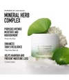 Produktbild 4 von 6, bareMinerals SKINLONGEVITY Gesichtscreme