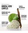 Produktbild 4 von 6, bareMinerals SKINLONGEVITY Gesichtsserum