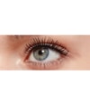 Produktbild 5 von 5, L'Oréal Paris False Lash Mascara