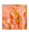 Produktbild 2 von 2, CHANEL COCO MADEMOISELLE Parfumzerstäuber