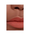 Produktbild 5 von 6, CHANEL Rouge Allure Liquid Velvet Liquid Lipstick