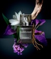 Produktbild 2 von 2, EISENBERG Diabolique Eau de Parfum