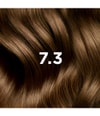 Productafbeelding 3 van 5, PHYTO PARIS PHYTOCOLOR Haarkleur