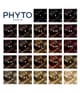 Produktbild 5 von 5, PHYTO PARIS PHYTOCOLOR Haarfarbe