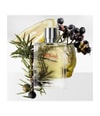 Image du produit 4 sur 4, HERMÈS Terre d'Hermès Eau de parfum