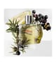 Produktbild 4 von 4, HERMÈS Terre d'Hermès Eau de Parfum