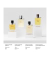 Image du produit 3 sur 4, HERMÈS Terre d'Hermès Eau de parfum
