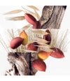 Produktbild 4 von 5, HERMÈS Un Jardin à Cythère Eau de Toilette