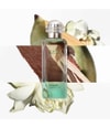 Produktbild 4 von 5, HERMÈS Un Jardin Eau de Toilette