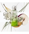 Produktbild 4 von 5, HERMÈS Un Jardin Eau de Toilette