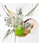 Produktbild 4 von 5, HERMÈS Un Jardin Eau de Toilette