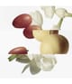 Produktbild 4 von 5, HERMÈS Le Jardin Eau de Toilette