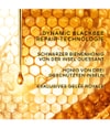 Tuotekuva 6/6, GUERLAIN Abeille Royale Kasvovoide