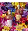 Produktbild 6 von 6, GUERLAIN Aqua Allegoria Eau de Toilette