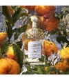Produktbild 3 von 6, GUERLAIN Aqua Allegoria Eau de Toilette