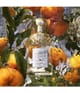 Produktbild 3 von 6, GUERLAIN Aqua Allegoria Eau de Toilette