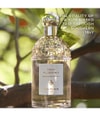 Produktbild 5 von 6, GUERLAIN Aqua Allegoria Eau de Toilette