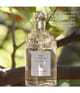 Produktbild 5 von 6, GUERLAIN Aqua Allegoria Eau de Toilette