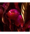 Produktbild 3 von 6, GUERLAIN Absolus Allegoria Eau de Parfum