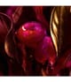 Zdjęcie produktu 3 z 6, GUERLAIN Absolus Allegoria Woda perfumowana
