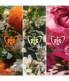 Produktbild 5 von 6, GUERLAIN Aqua Allegoria Duftset
