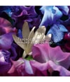 Produktbild 3 von 6, GUERLAIN Absolus Allegoria Eau de Parfum