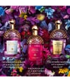 Produktbild 5 von 6, GUERLAIN Absolus Allegoria Eau de Parfum