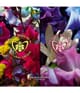 Produktbild 6 von 6, GUERLAIN Absolus Allegoria Eau de Parfum