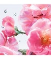 Produktbild 3 von 3, DIOR Miss Dior Eau de Toilette