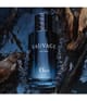 Produktbild 3 von 3, DIOR Sauvage Parfum