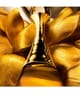 DIOR J'adore Parfum 35 ml 3348901738309 visual-shot_de