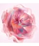 Produktbild 2 von 4, DIOR Miss Dior Handcreme