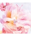 Produktbild 3 von 4, DIOR Miss Dior Eau de Toilette