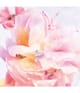 Produktbild 3 von 4, DIOR Miss Dior Eau de Toilette