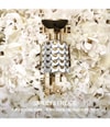 Produktbild 3 von 6, Rabanne Fame Eau de Parfum
